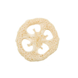 Loofah disk