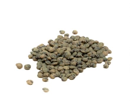 Green Lentils, french type